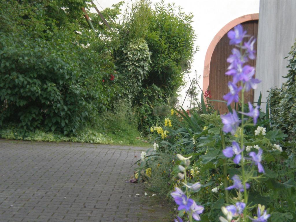 Ferienwohnung Haus Gintz Blieskastel Exterior foto